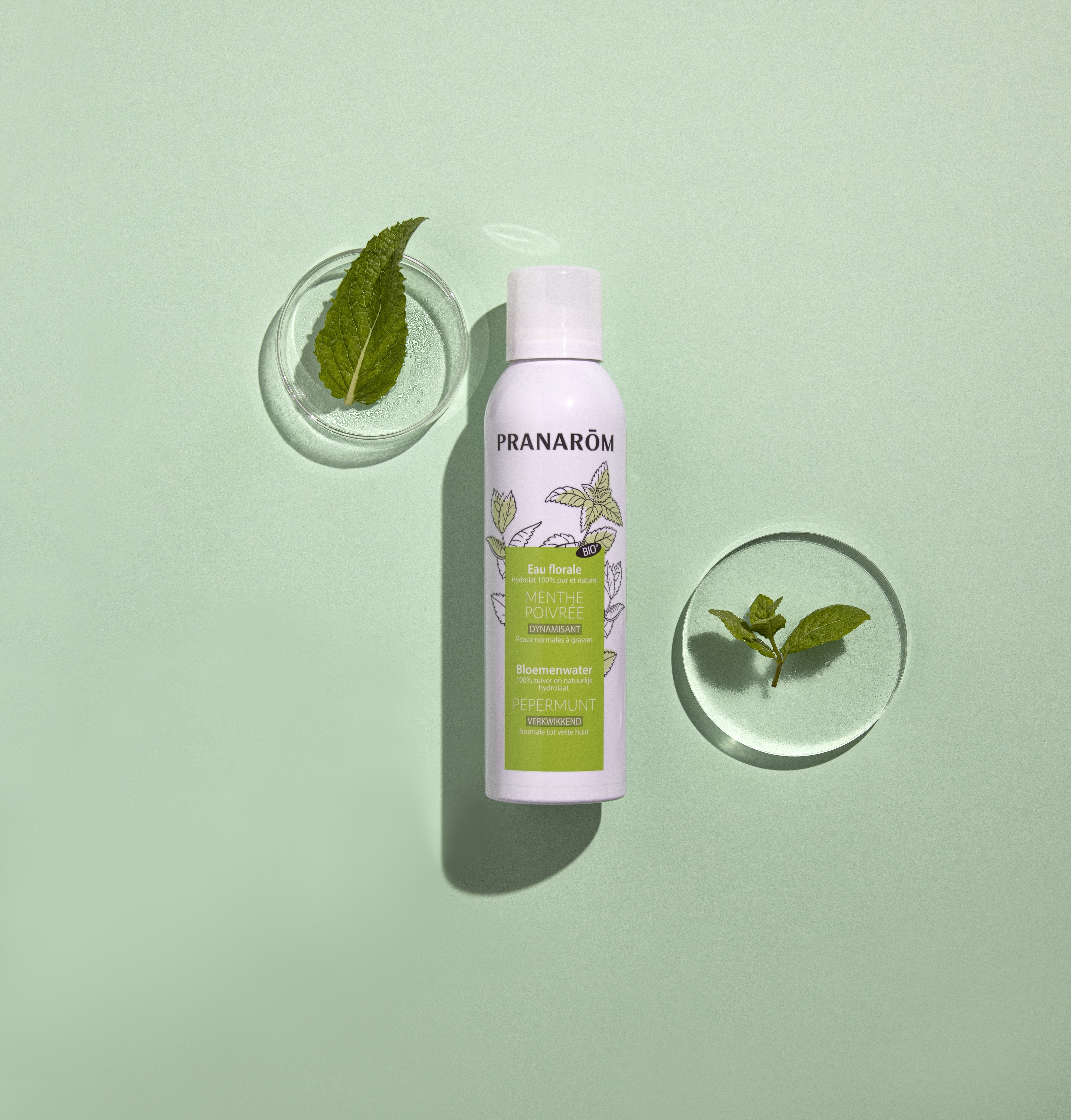 Pfefferminze (Mentha piperita) 150 ml**