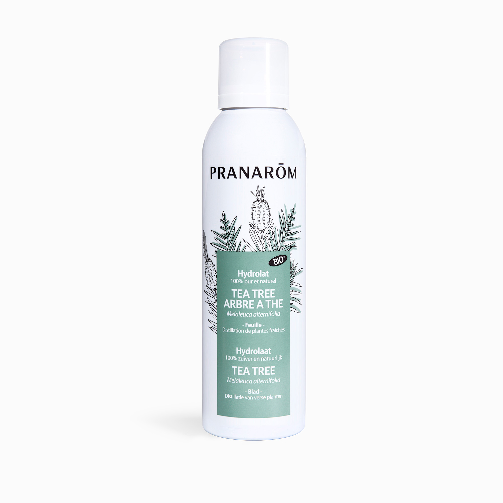 Teebaum (Mealeuca alterifolia) 150 ml