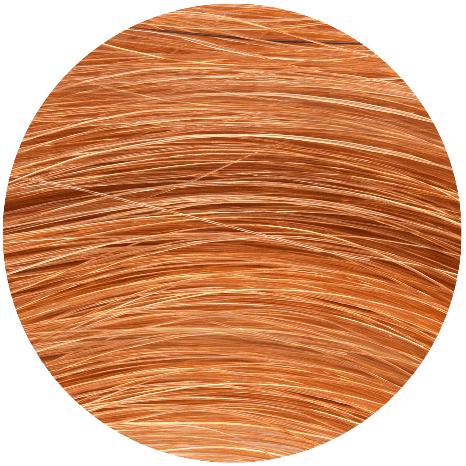 Pflanzen-Haarfarbe 5.3 helles Nussbraun 100g