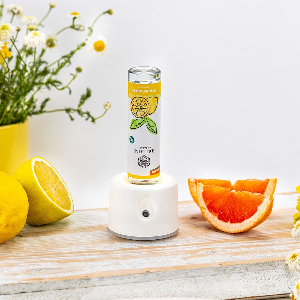 Baldini Airfriend Two (ca 35m²) + 1x Zitrusgartenraumspray