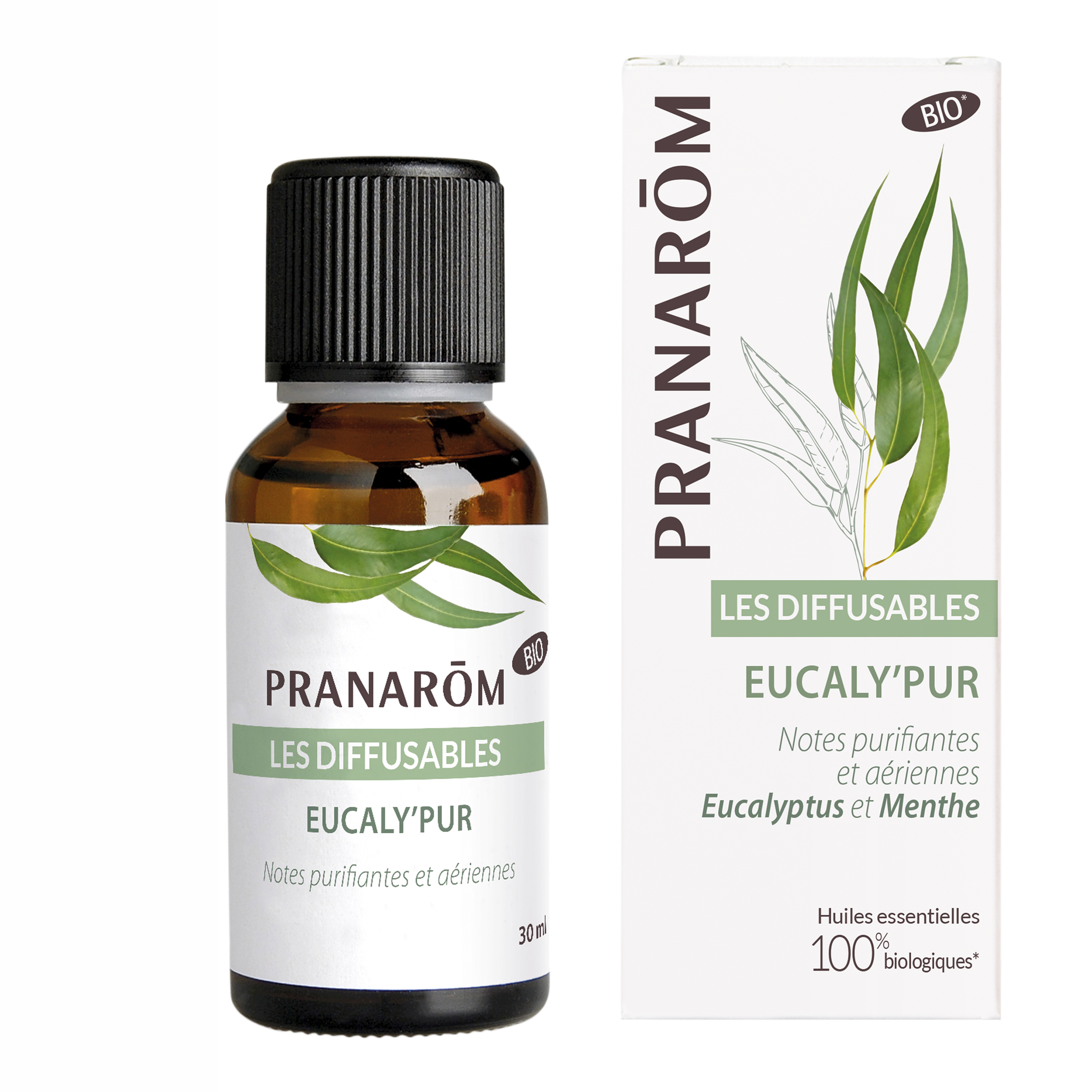 Aromamischung Eucaly'PUR / Eukalyptuskraft Bio 30ml