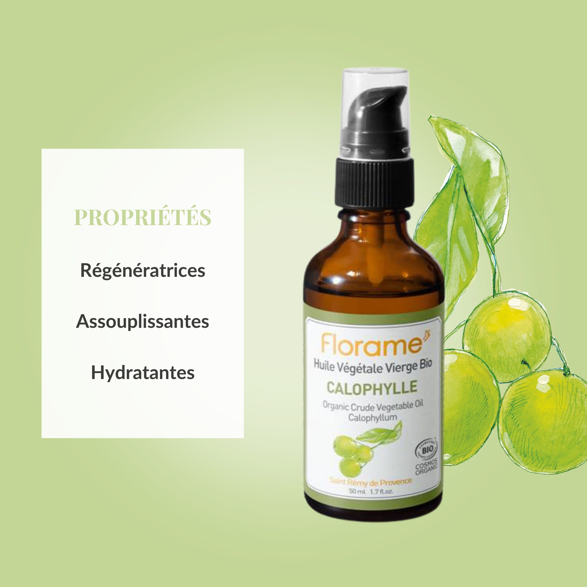 Calophyllumöl (Calophyllum Inophyllum ) 50  ml Calophyllumöl (Calophyllum Inophyllum ) 50  ml